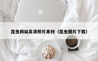荆门昆虫网站高清照片素材（昆虫图片下载）